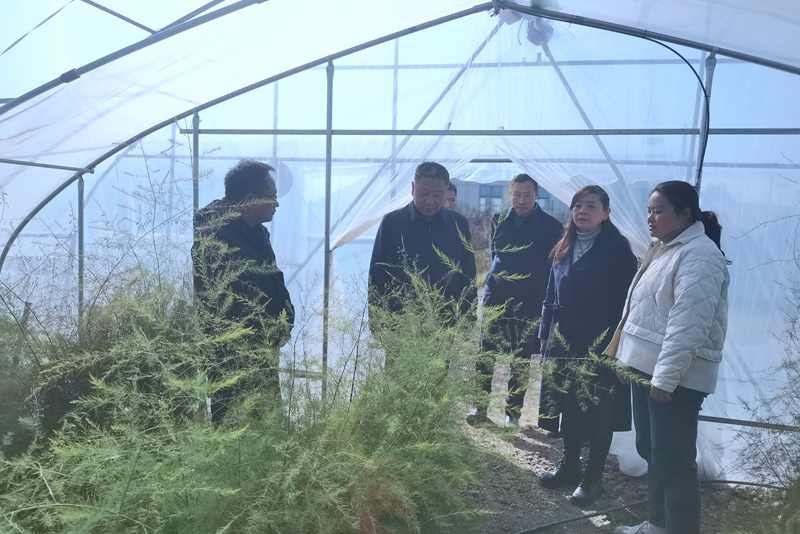 风险人妻丰满熟妇av无码区乱