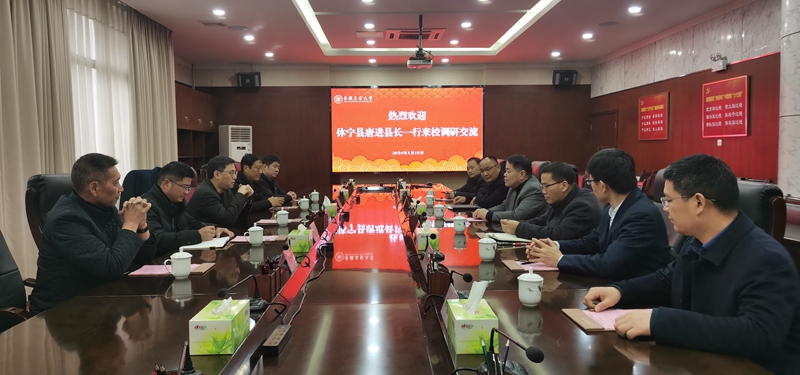 风险人妻丰满熟妇av无码区乱