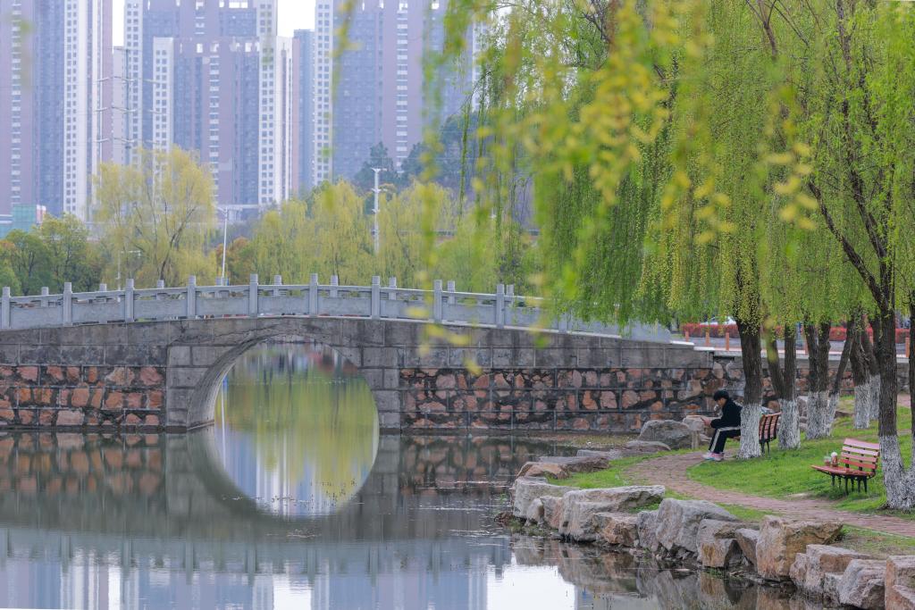 风险人妻丰满熟妇av无码区乱