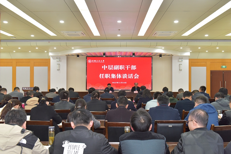 风险人妻丰满熟妇av无码区乱