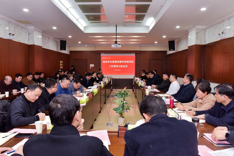 风险人妻丰满熟妇av无码区乱
