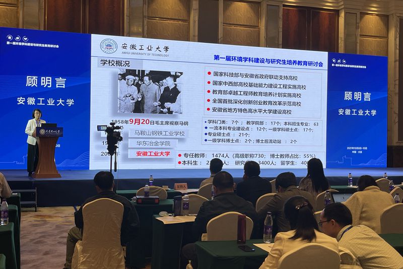风险人妻丰满熟妇av无码区乱