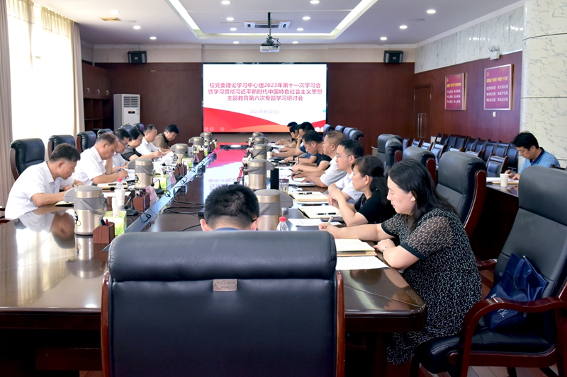 风险人妻丰满熟妇av无码区乱