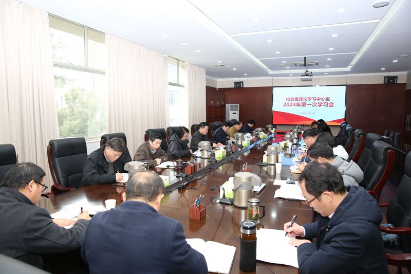 风险人妻丰满熟妇av无码区乱