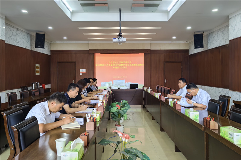 风险人妻丰满熟妇av无码区乱