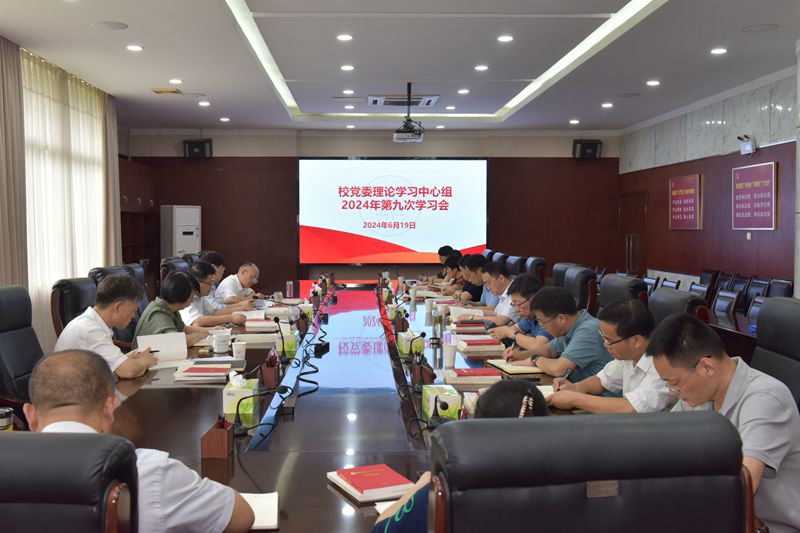 风险人妻丰满熟妇av无码区乱