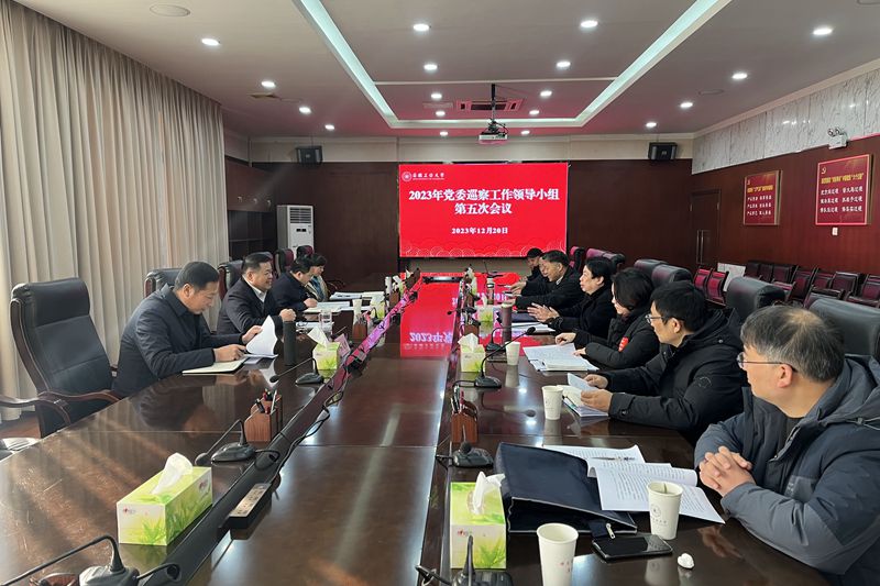 风险人妻丰满熟妇av无码区乱