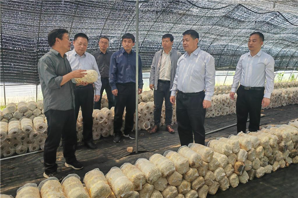 风险人妻丰满熟妇av无码区乱