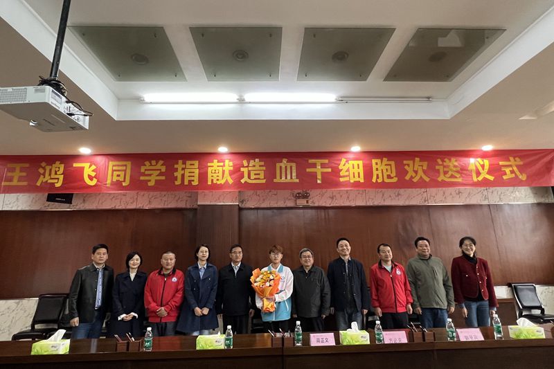 风险人妻丰满熟妇av无码区乱