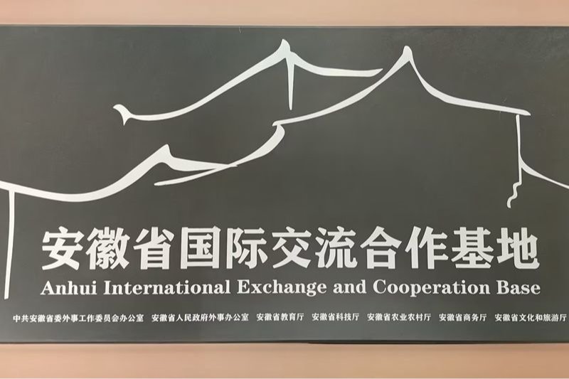 风险人妻丰满熟妇av无码区乱