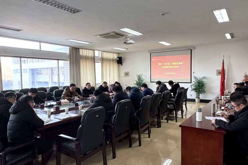 风险人妻丰满熟妇av无码区乱