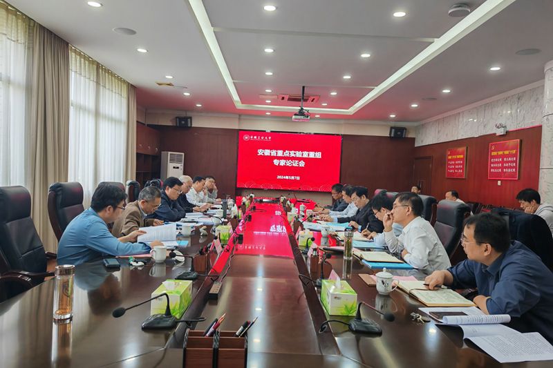 风险人妻丰满熟妇av无码区乱