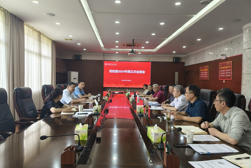 风险人妻丰满熟妇av无码区乱