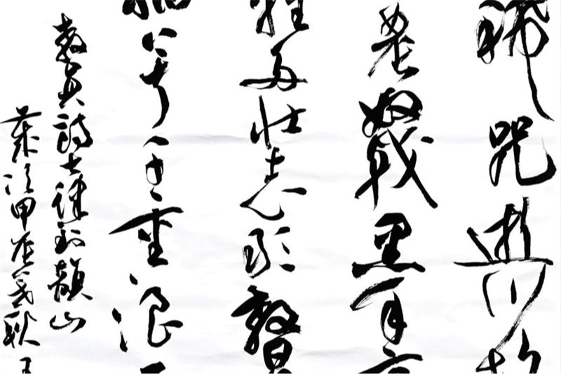 风险人妻丰满熟妇av无码区乱