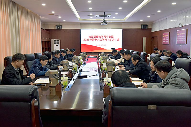风险人妻丰满熟妇av无码区乱