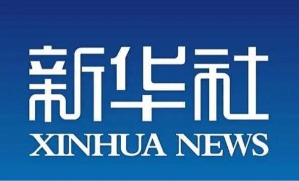 风险人妻丰满熟妇av无码区乱