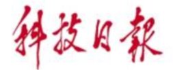 风险人妻丰满熟妇av无码区乱