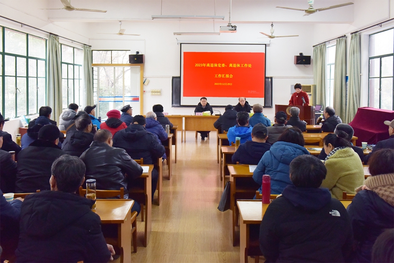 风险人妻丰满熟妇av无码区乱