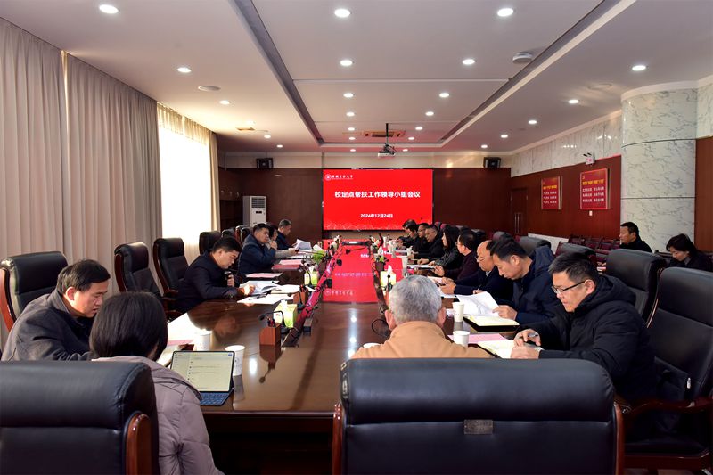 风险人妻丰满熟妇av无码区乱