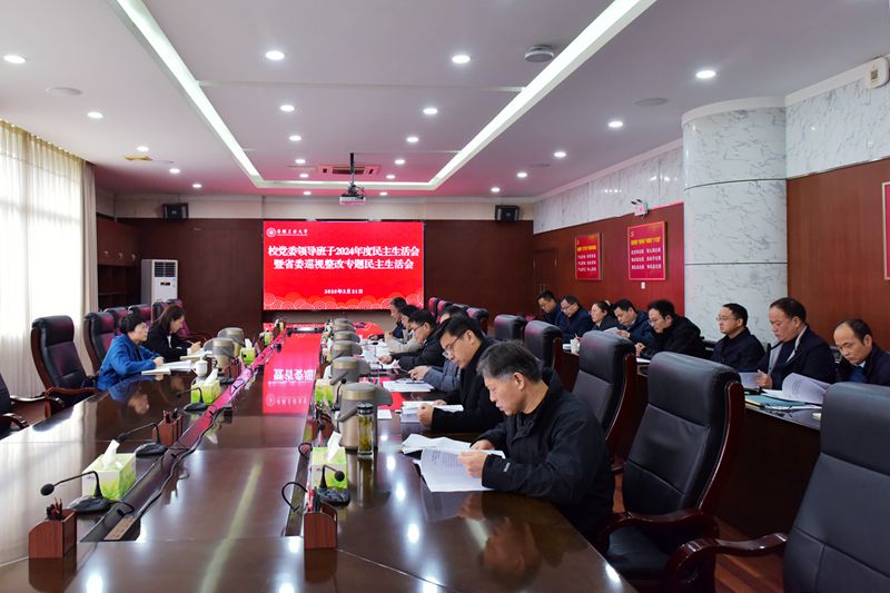 风险人妻丰满熟妇av无码区乱