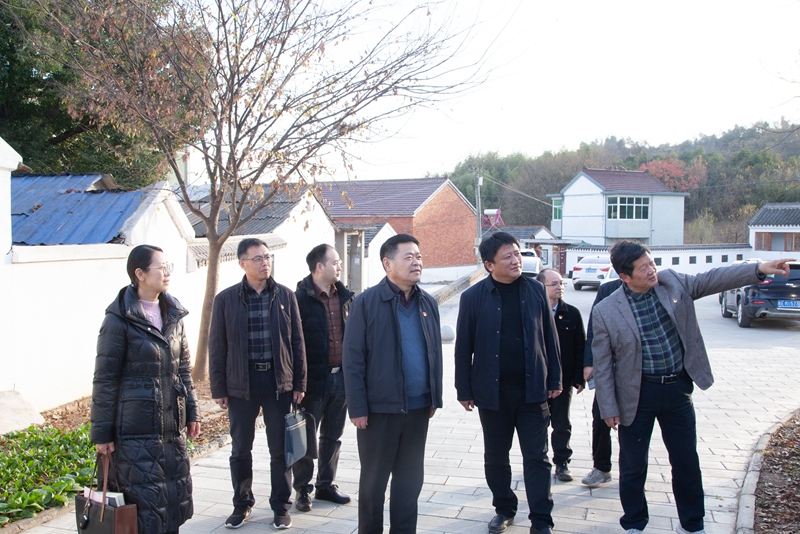 风险人妻丰满熟妇av无码区乱