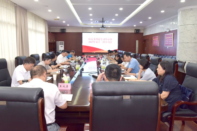 风险人妻丰满熟妇av无码区乱