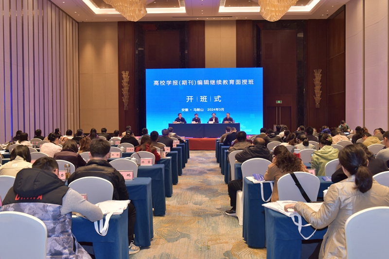 风险人妻丰满熟妇av无码区乱