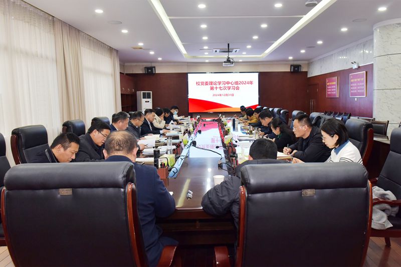 风险人妻丰满熟妇av无码区乱