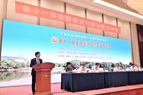 风险人妻丰满熟妇av无码区乱