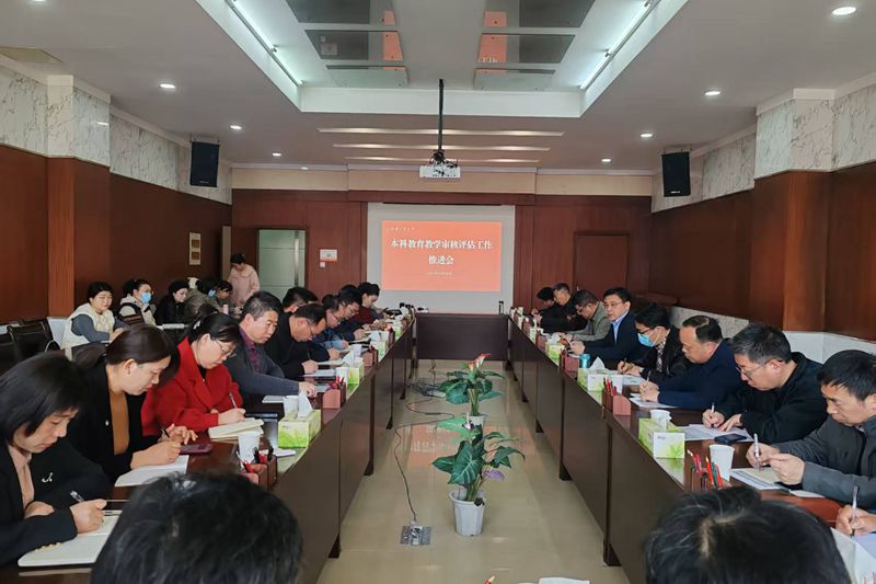 风险人妻丰满熟妇av无码区乱