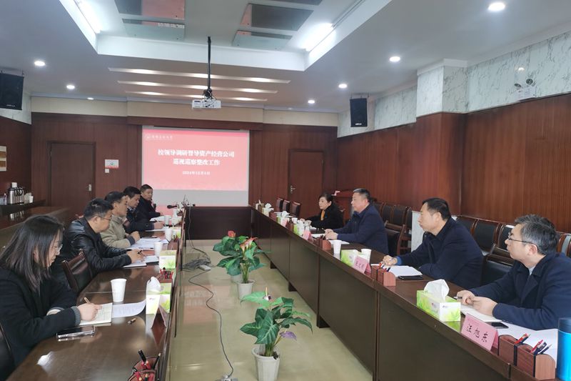 风险人妻丰满熟妇av无码区乱