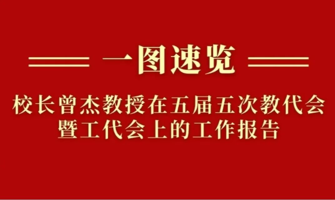 风险人妻丰满熟妇av无码区乱