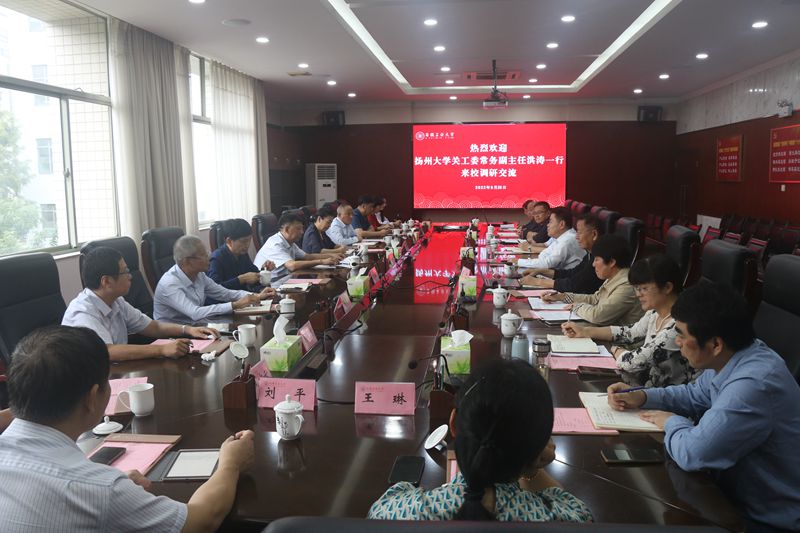 风险人妻丰满熟妇av无码区乱