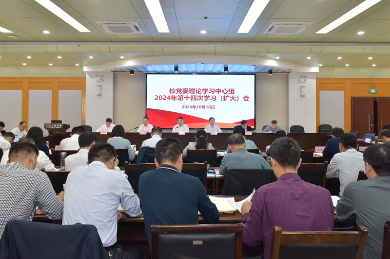 风险人妻丰满熟妇av无码区乱