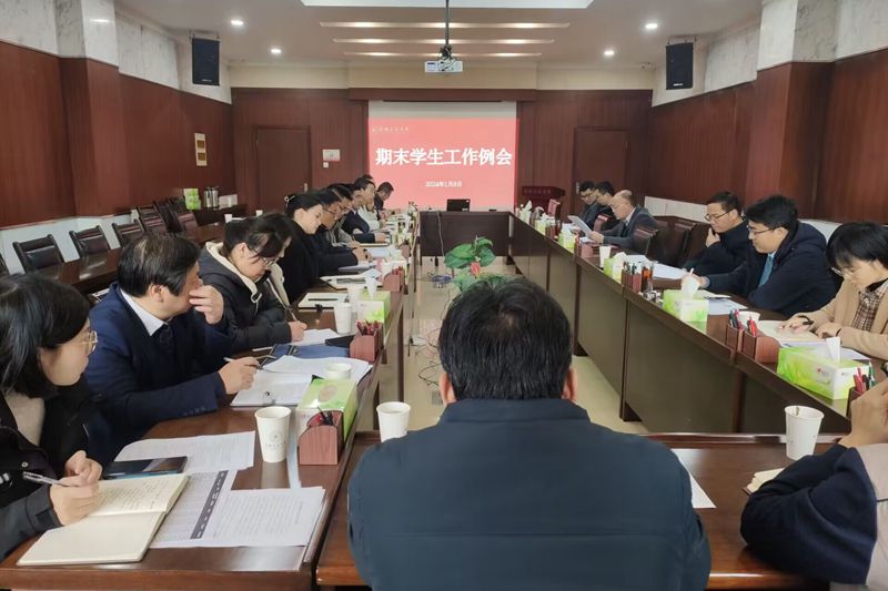 风险人妻丰满熟妇av无码区乱
