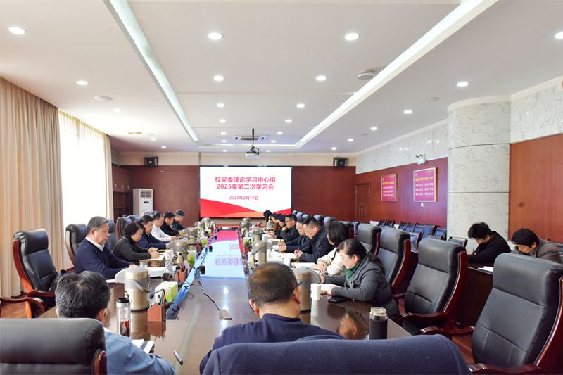 风险人妻丰满熟妇av无码区乱