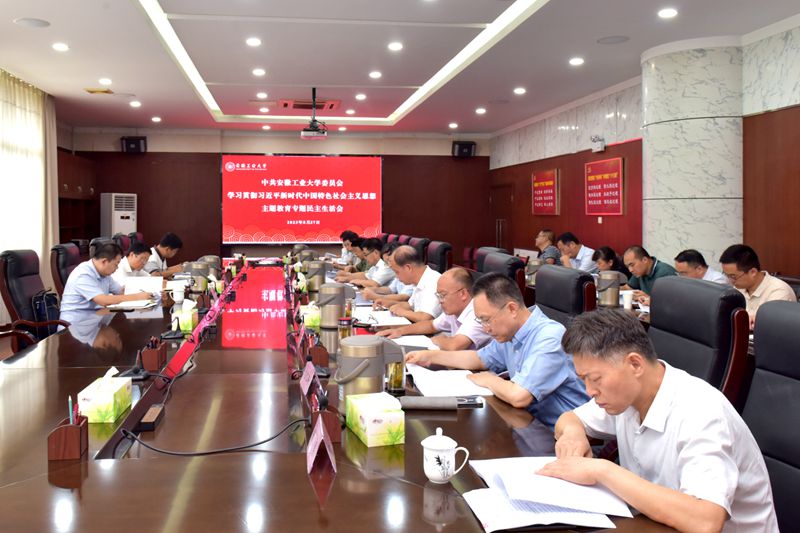 风险人妻丰满熟妇av无码区乱