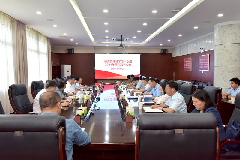 风险人妻丰满熟妇av无码区乱
