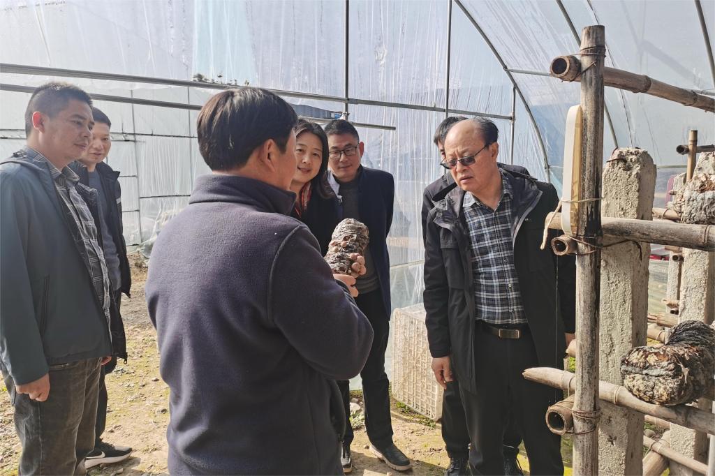 风险人妻丰满熟妇av无码区乱