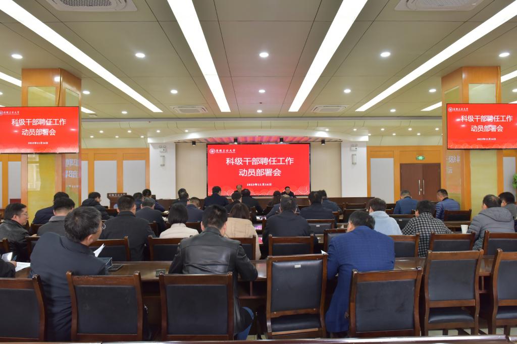 风险人妻丰满熟妇av无码区乱