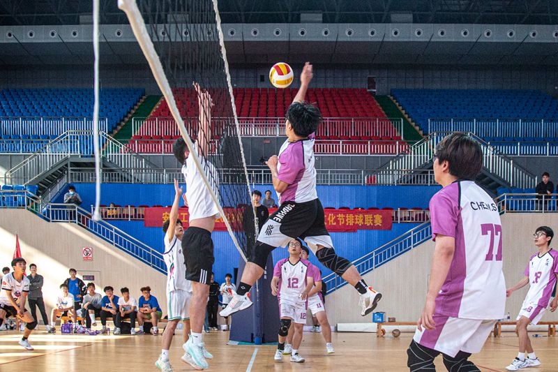 风险人妻丰满熟妇av无码区乱