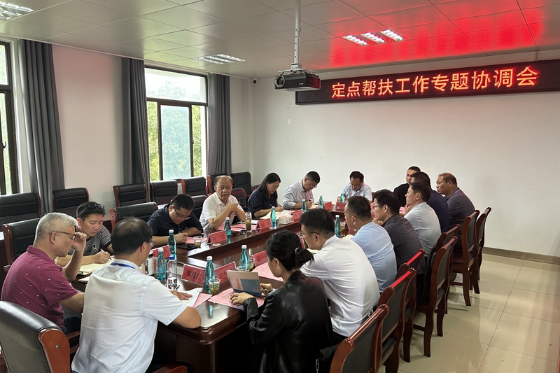 风险人妻丰满熟妇av无码区乱