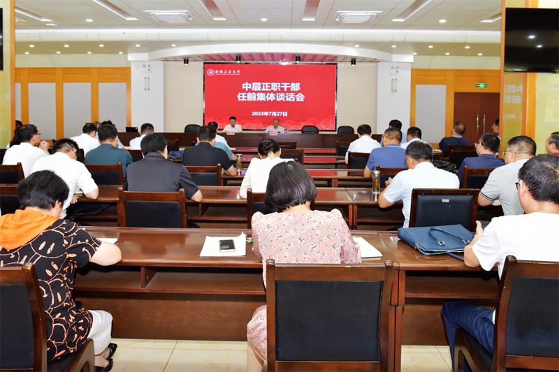 风险人妻丰满熟妇av无码区乱