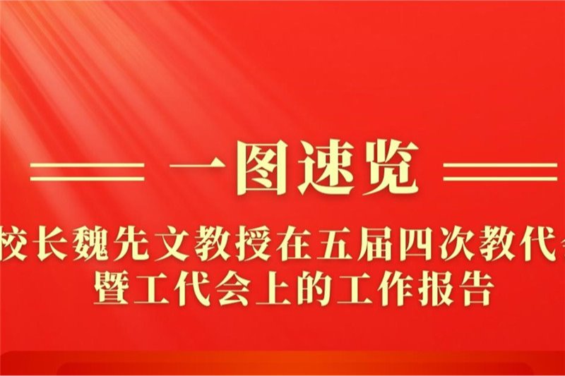 风险人妻丰满熟妇av无码区乱
