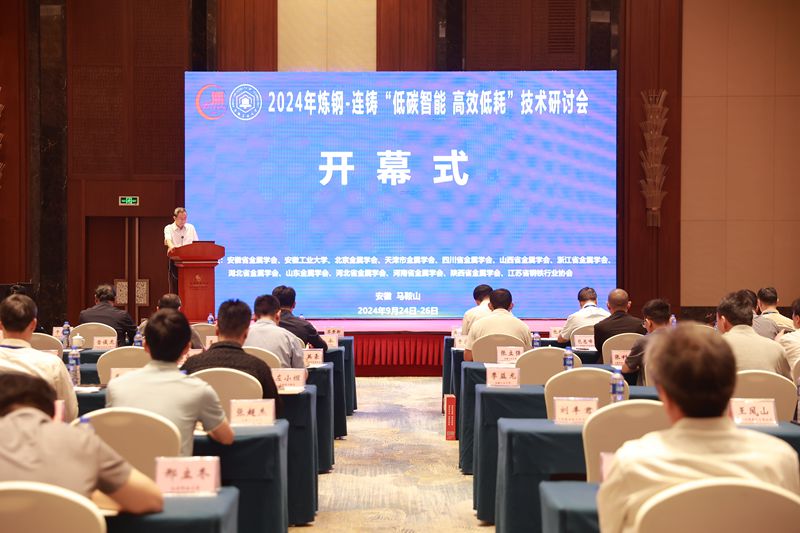 风险人妻丰满熟妇av无码区乱