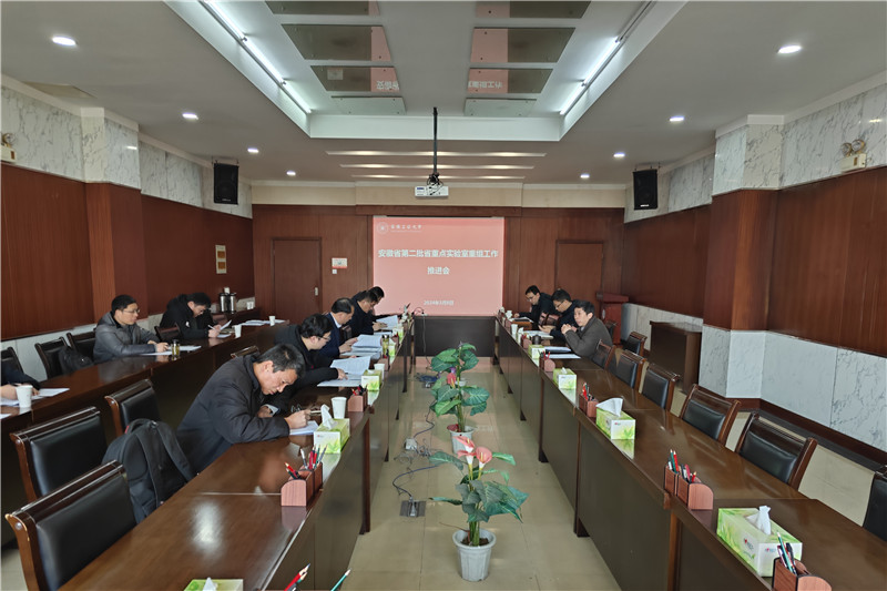 风险人妻丰满熟妇av无码区乱