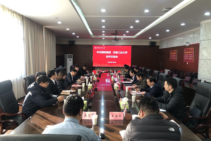 风险人妻丰满熟妇av无码区乱