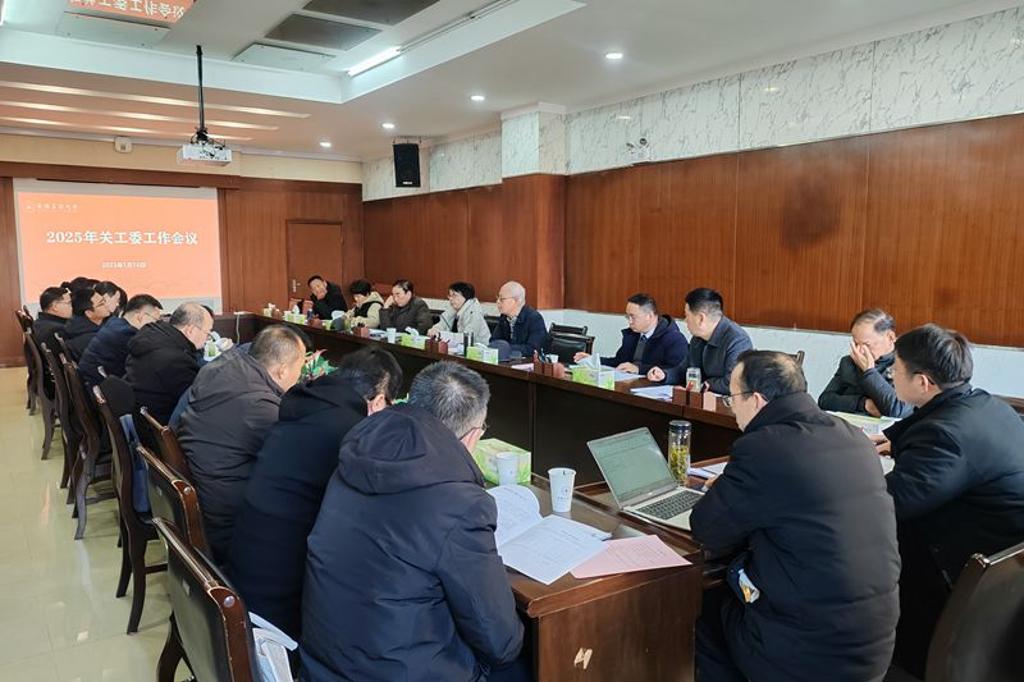 风险人妻丰满熟妇av无码区乱