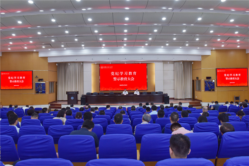 风险人妻丰满熟妇av无码区乱