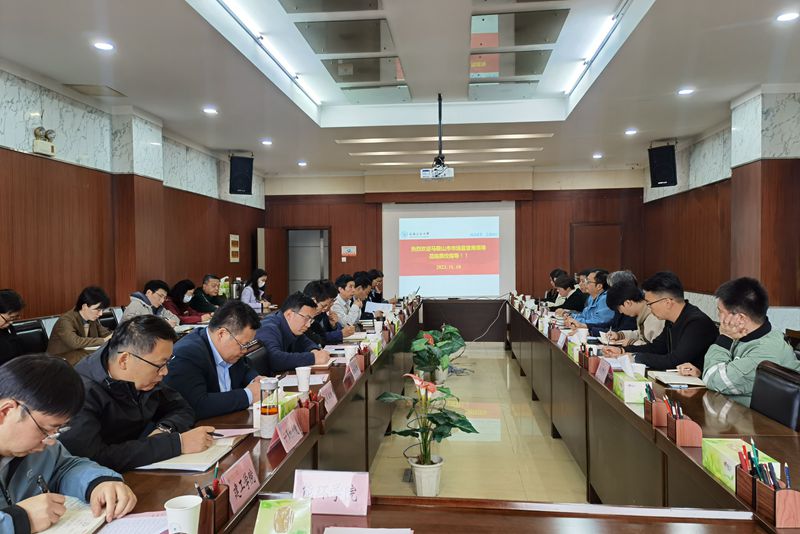 风险人妻丰满熟妇av无码区乱
